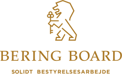 Bering Board - Solidt bestyrelsesarbejde